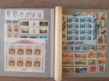 Большой альбом марок СССР 1989 - 1991 гг. 14 листов более 790 марок и 25 блоков негашеные, фото №13