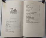 Валерій Шульжик "Запах моря" (вірші)., фото №11