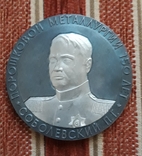 Настільна медаль ( медальєрна ), фото №2