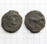 Антична монета - вовчиця, 2.01г., фото №2