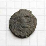 Антична монета - вовчиця, 2.01г., фото №3