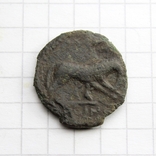Антична монета - вовчиця, 2.01г., фото №4