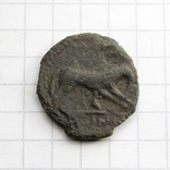 Антична монета - вовчиця, 2.01г., фото №6