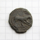 Антична монета - вовчиця, 2.01г., фото №8