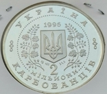 2 000 000 карбованців 1996 рок. 5 років незалежності Україніи. Тир. 10 000шт, фото №5