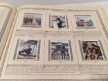 Альбом сигаретных Вкладышей 1919-1934 Третий Рейх, фото №6