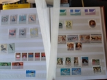 Большой лот негашених марок Сан Марино, фото №8