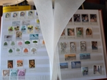 Большой лот негашених марок Сан Марино, фото №11