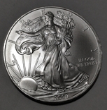 США 1 Доллар 2009. Американский орёл. Шагающая Свобода, фото №2