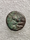  Фанагорія, тетрахалк 220-210 до н.е., фото №3