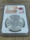 Канада 5 долларов Кленовый лист 2024 Серебро 1 oz, фото №3
