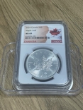Канада 5 долларов Кленовый лист 2024 Серебро 1 oz, фото №2