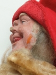 Dwarf, elf, photo number 3