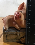 Копилка свинья на сундуке, фото №3