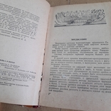 Кройка и шитье 1956, фото №5