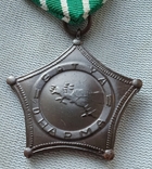 Индонезия медаль, фото №4