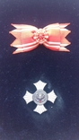 Орден Заслуг Червоного Хреста, фото №4