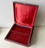 Коробка для чайных ложек или под кофейные ложки, 12 предметов, СССР, фото №4