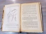 Посібник з гістології. 1954., фото №7