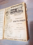 1909. Добірка книг/брошур про садівництво в одній книзі. 13 розд., фото №10