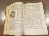 А.І.Абрикосов. Основи приватної патологічної анатомії. 1950., фото №8
