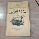 Мисливські та лягаві собаки. 1949., фото №2