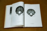 Анатомический атлас человека 1 том 1973, фото №4