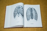 Анатомический атлас человека 1 том 1973, фото №6