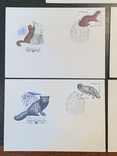 Полная серия марок Ценные породы пушных зверей на конвертах первого дня 1980г, фото №3