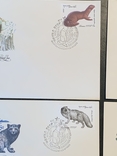 Полная серия марок Ценные породы пушных зверей на конвертах первого дня 1980г, фото №4