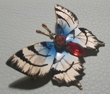 Бабочка. Чехословакия, фото №4