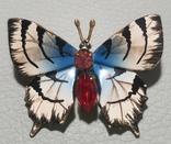 Бабочка. Чехословакия, фото №2
