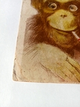 Старенькая открытка обезьянка ., фото №3