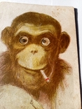 Старенькая открытка обезьянка ., фото №4