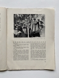 Мистецький журнал Sztuki piekne 1932, 12 номерів, фото №11