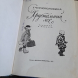 Черноголовина "Хрустальный лес" 1975, фото №4