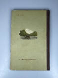 Догляд за садом 1956 г, фото №4