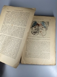 Физиология человека 1915 г том 2 часть 2, фото №11