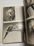 Иллюстрированная энциклопедия птиц, фото №8