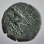 Bithynia Prusias II Cynegos 182-149 гг до н.э. (74.3), фото №5