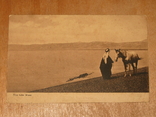 Почтовая карточка № 151 Das tote Meer., фото №2