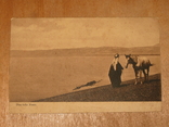 Почтовая карточка № 151 Das tote Meer., фото №3