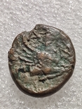 Пантикапей, діхалк 314-310 до н.е., фото №4