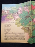Журнал Малятко №5 1988 с комиксом "Кирило Кожумяка", фото №11