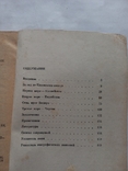 Путешествие Афанасия Никитина 1980 г., фото №6