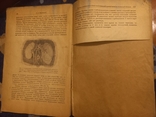 1934г Нервная трофика в теории и практики медицины.159с., фото №7