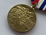 Медаль За принуждение к миру август 2008 г., фото №4