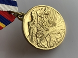 Медаль За принуждение к миру август 2008 г., фото №7