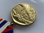 Медаль За принуждение к миру август 2008 г., фото №12