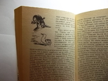 Книга.Джеральд Даррелл .Под пологом пьяного леса.б/у, фото №7
